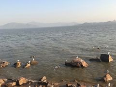 -深圳湾公园(南山区)