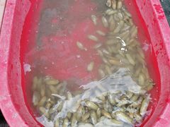 -江杨农产品批发市场