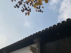 -田园东方蜜桃村的田野营地