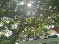 -广州塔(地铁站)