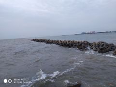 -东疆建设开发纪念公园