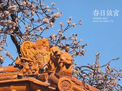 -故宫博物院(故宫)
