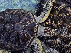 -福州罗源湾海洋世界旅游区