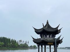 -杭州湾海上花田景区