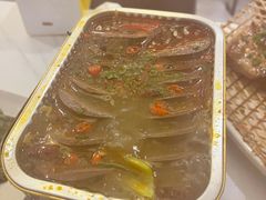 -京城·森鸽排档(双井店)