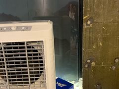 -桐爷小馆(广渠门店)