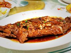 -晋阳饭庄(虎坊桥店)