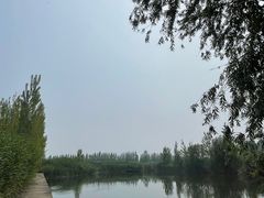 -白洋淀锅里口灶台鱼