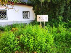 -广州神农草堂中医药博物馆