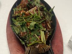 -京城·森鸽排档(双井店)