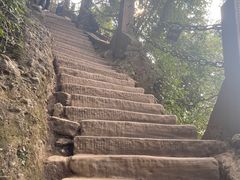 -青城山
