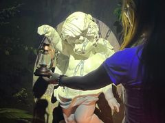 -逃脱反斗城沉浸剧情密室(北京路店)