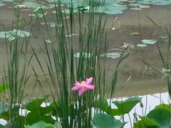 -锦江之星(武汉黄鹤楼复兴路地铁站店)