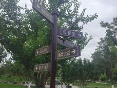 -西海子公园