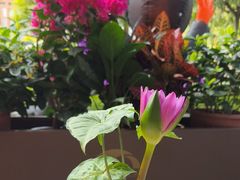 -Mezomd曼索蒂西班牙餐厅(广粤店)