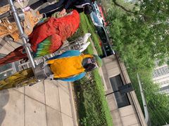 -陕西自然博物馆