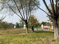 -瀛海足球主题公园