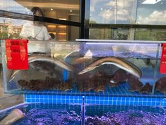 水产区-洲晓鲜·舟山海鲜大排档(朱家尖风景区店)