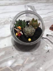 点击看大图 -玥奢国际母婴护理中心(滨江宝龙店)
