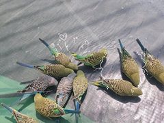 -西流沱小镇