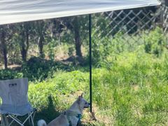 -亲兄弟真人CS团建拓展基地