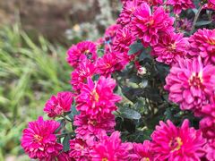 -共青国家森林公园-售票处