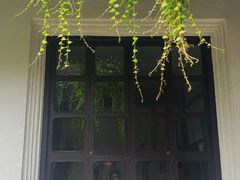 -上海鲁迅故居