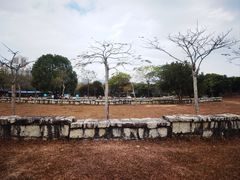 -聚龙山公园