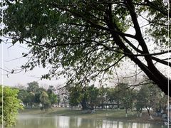 -海珠湖公园