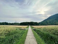 -八卦田遗址公园
