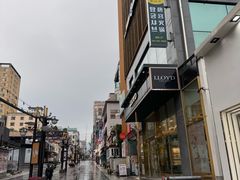 -宝健路步行街(Pedestrian Shopping Street)