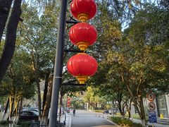 -福田家月子中心 产后 月嫂(市立母子医院店)
