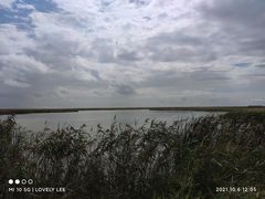 -盐城丹顶鹤湿地生态旅游区