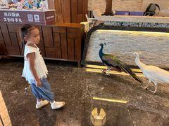 -西双版纳融创皇冠假日度假酒店