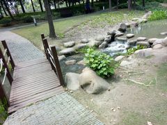 -陈家山荷花公园