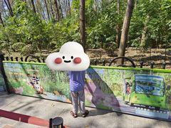 -合肥滨湖国家森林公园