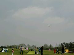 picture-南桥绿地铂骊酒店