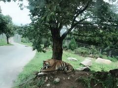 -西安秦岭野生动物园