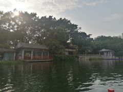 -荔湾湖公园