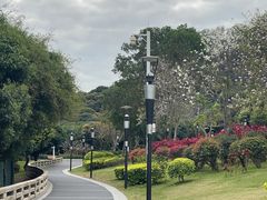 -立新湖公园