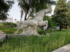 -莲花池公园