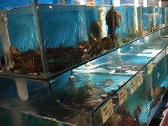 -船梆煮•蒸汽海鲜·炉火烤肉(五四广场店)