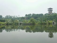 -张坝桂圆林公园