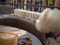 -大小咖啡 BigSmallCoffee(麦子店)