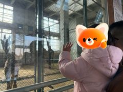-太原动物园
