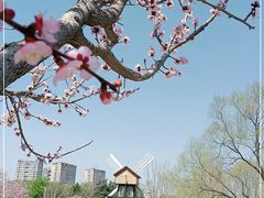 -长春公园(普阳街道)