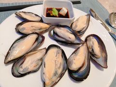 -威海蓝海御华大饭店·蓝钻美食自助百汇