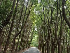 -同里国家湿地公园