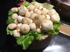 -凤园椰珍·臻品椰子鸡(保利时光里店)