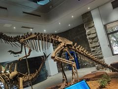 -自贡恐龙博物馆